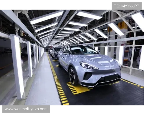 开博体育携手多家知名品牌共建体育生态圈，推动体育赛事数字化转型，提升用户体验与互动水平，开启体育产业新篇章