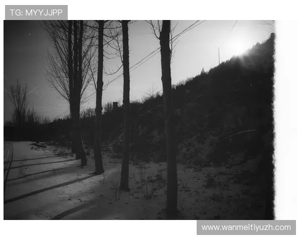 黑白体育：黑白摄影在体育纪录片中的应用与视觉表达技巧